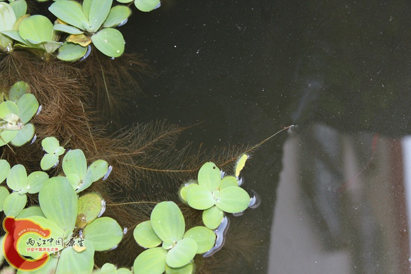 照片(10) 012_副本.jpg