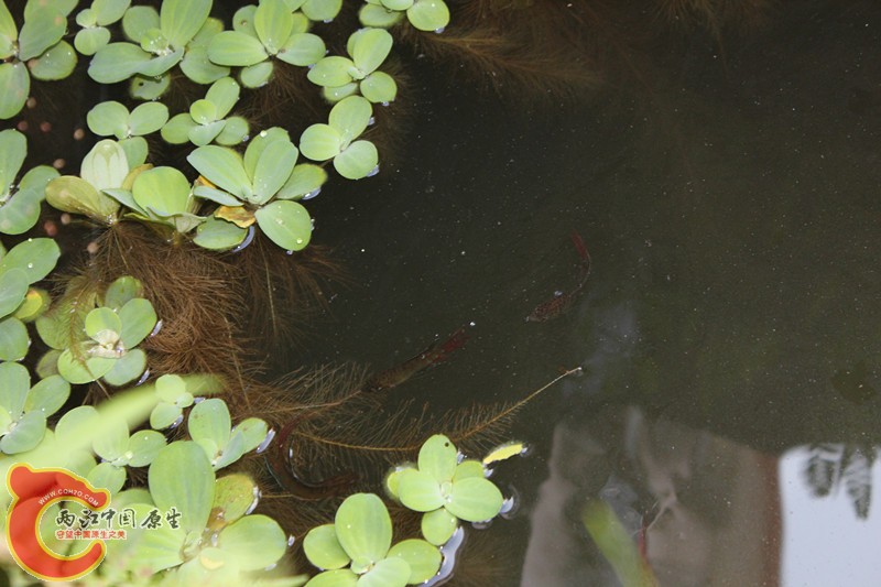 照片(10) 011_副本.jpg