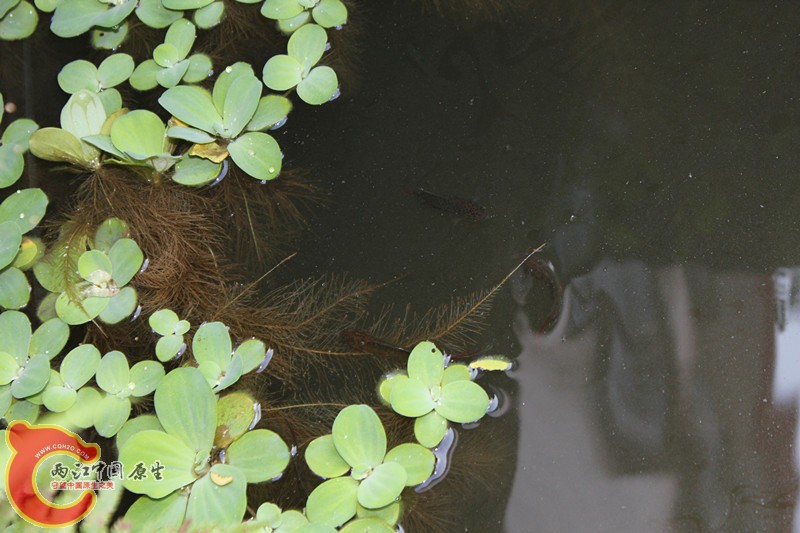 照片(10) 010_副本.jpg