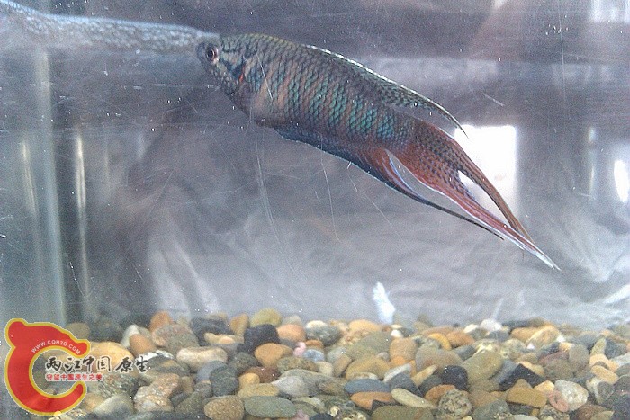 IMAG1241.jpg