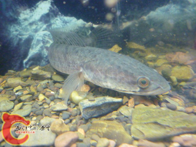 P1070634.JPG