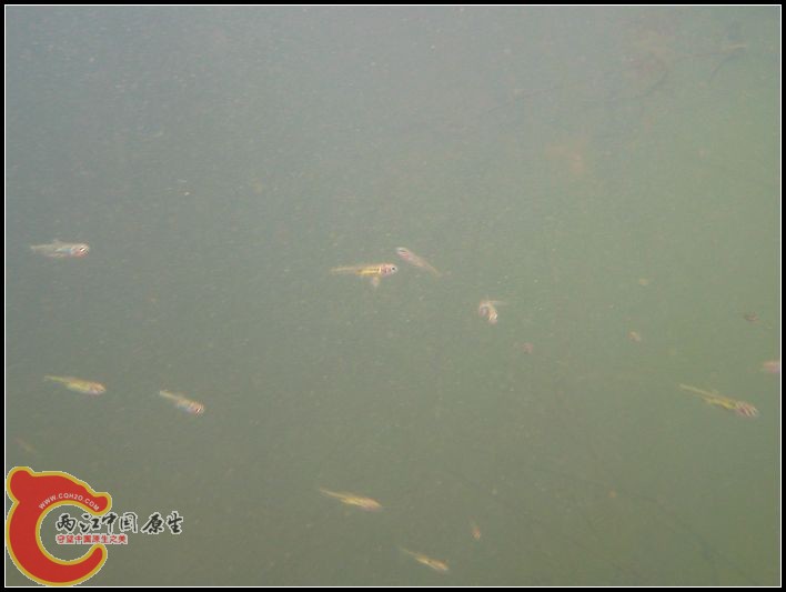 照片 077.jpg
