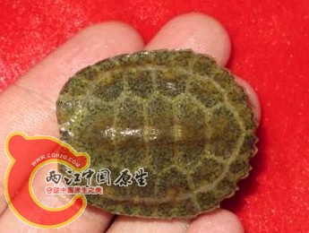 搜狗截图120822_1.jpg