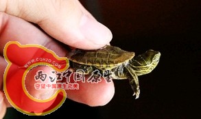 搜狗截图120822_5.jpg
