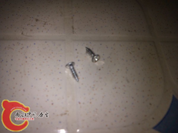 IMG_20120822_195852.jpg