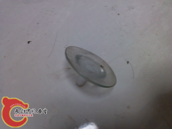IMG_20120822_202354.jpg