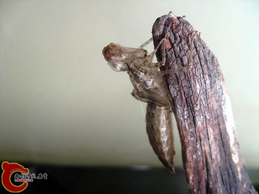 照片 1241.jpg