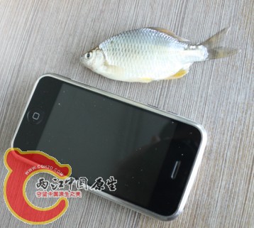 未命名.jpg
