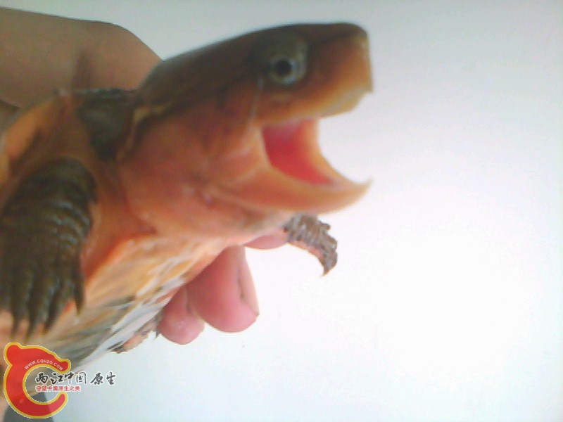 20110615A003.jpg
