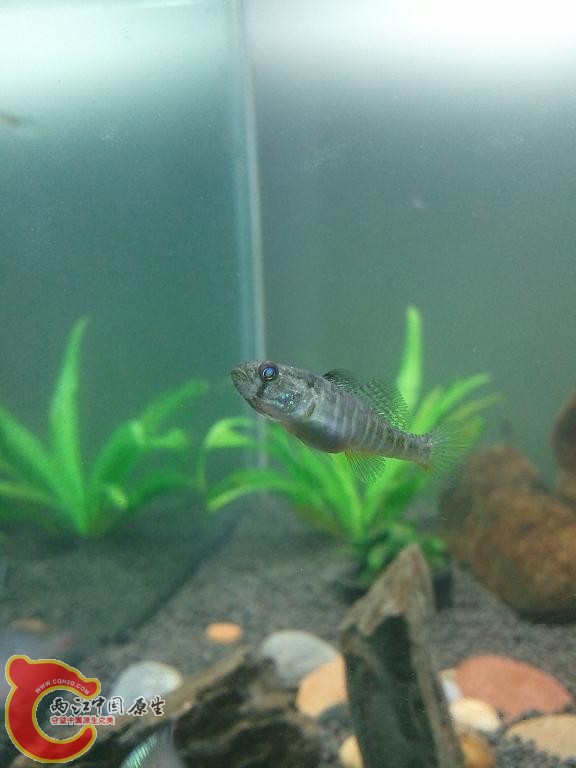 2012-08-23 23.h.1.jpg