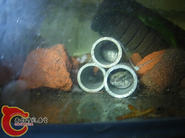 DSCN5902.JPG