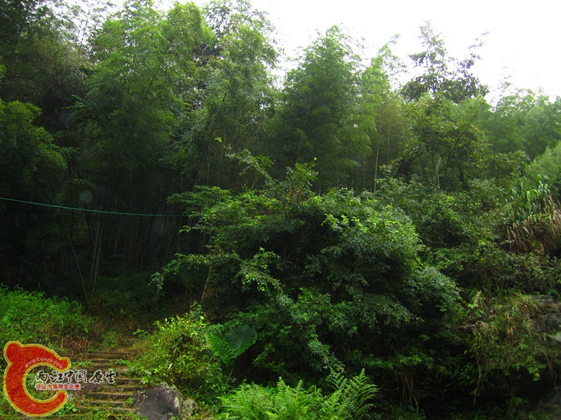 IMG_5490_副本.jpg