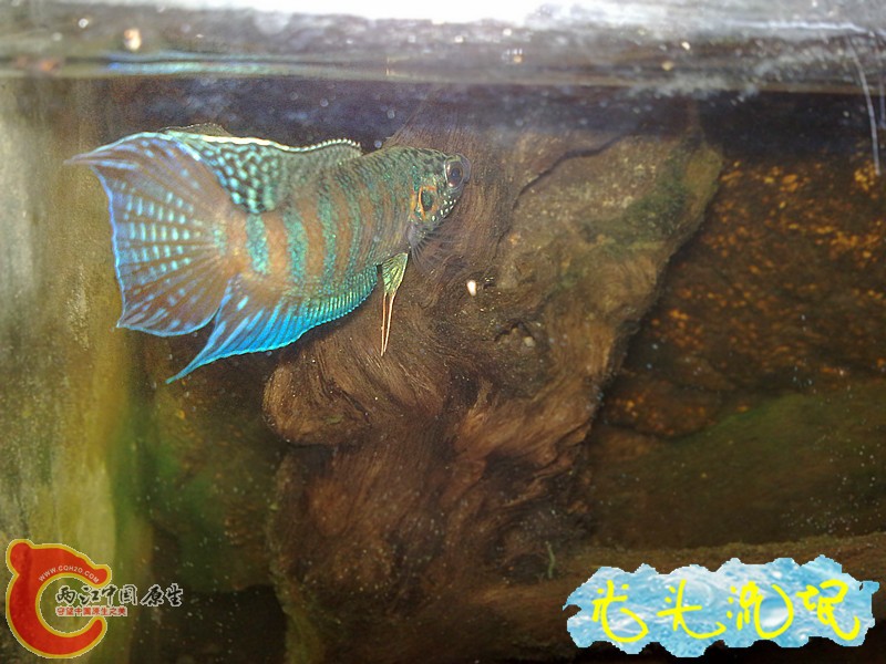 201208182458.jpg