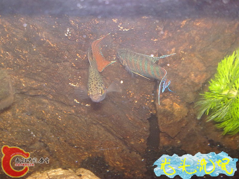 201208182463.jpg