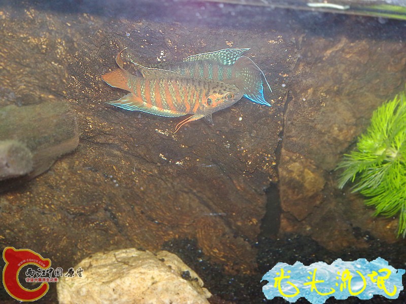 201208182466.jpg