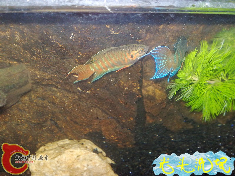 201208182467.jpg