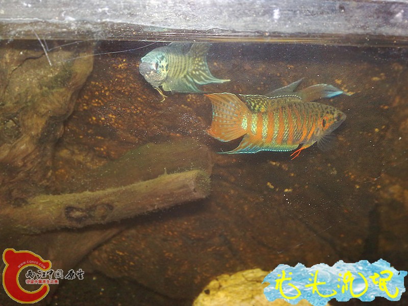 201208182474.jpg