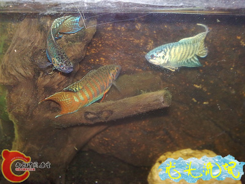 201208182475.jpg