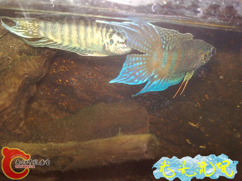201208182478.jpg