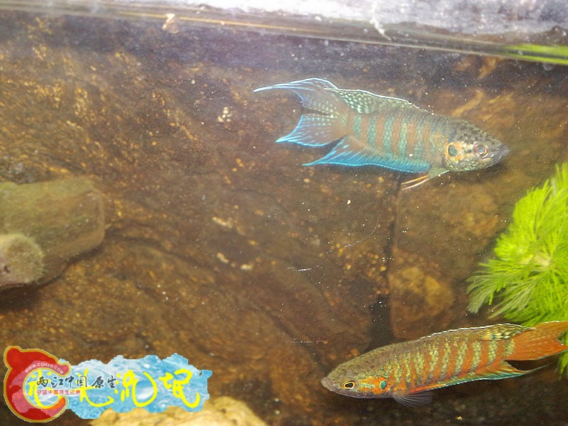 201208182479.jpg