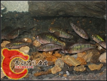 照片 001.jpg