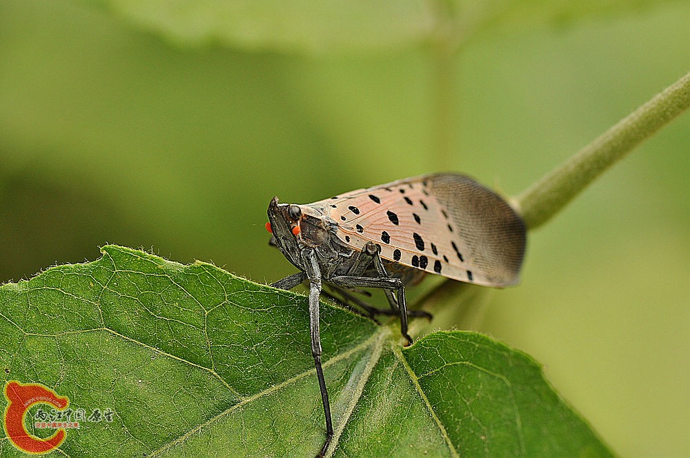 DSC_0027.jpg