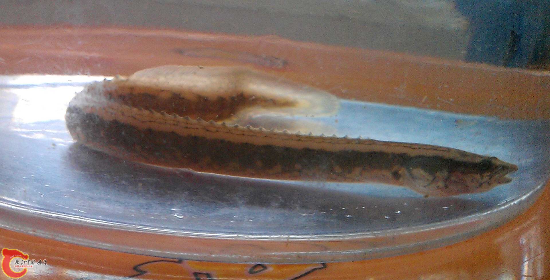 IMAG0479.jpg