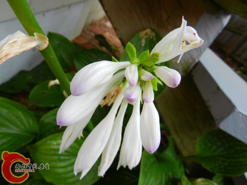 QQ截图20120826221037.jpg