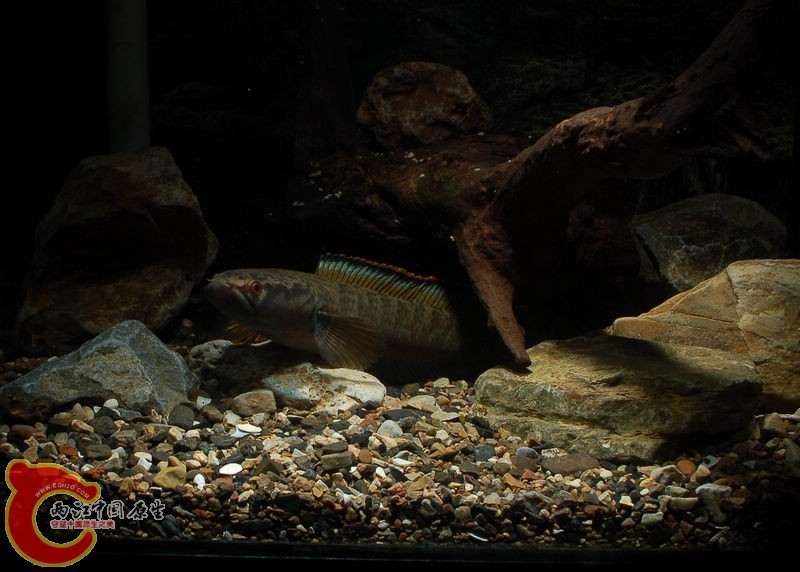 DSC_6538.jpg