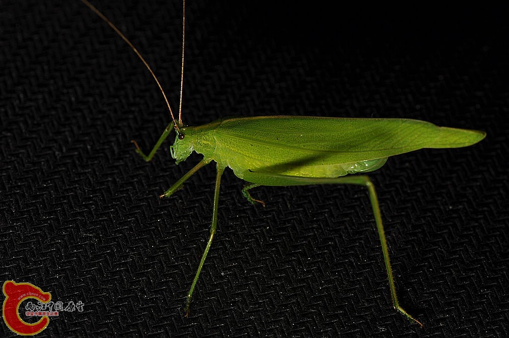 DSC_0025.jpg