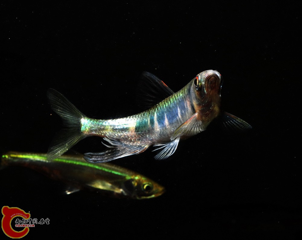DSC_0344.jpg
