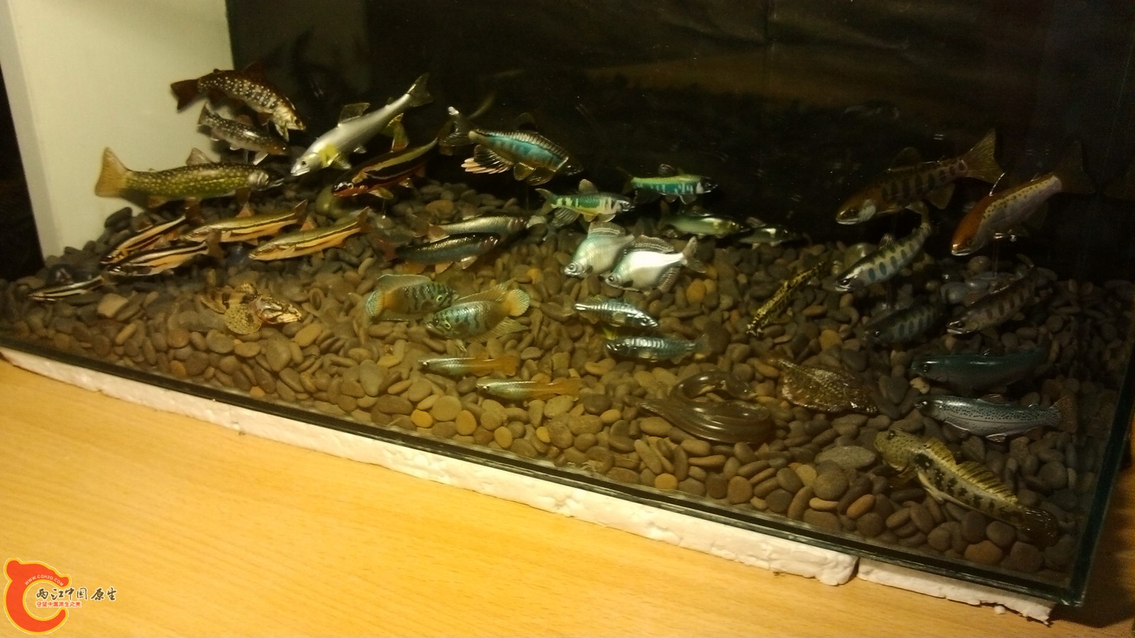 IMG_20120826_140844.jpg
