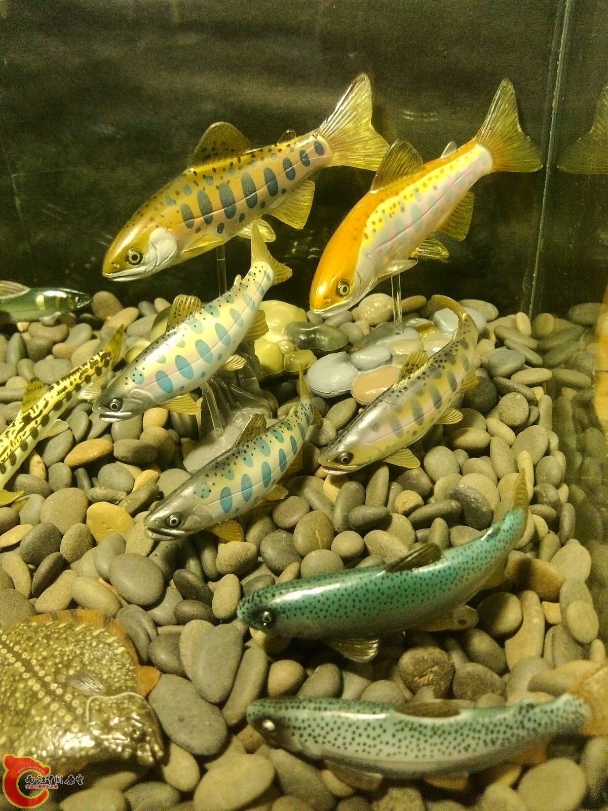 IMG_20120826_141647.jpg