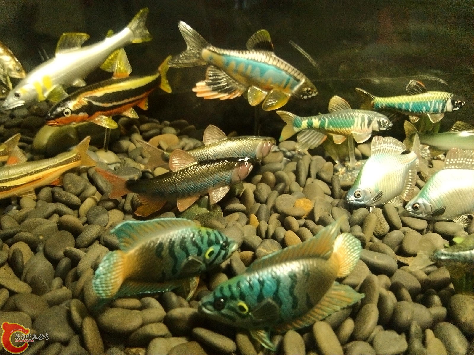 IMG_20120826_141948.jpg