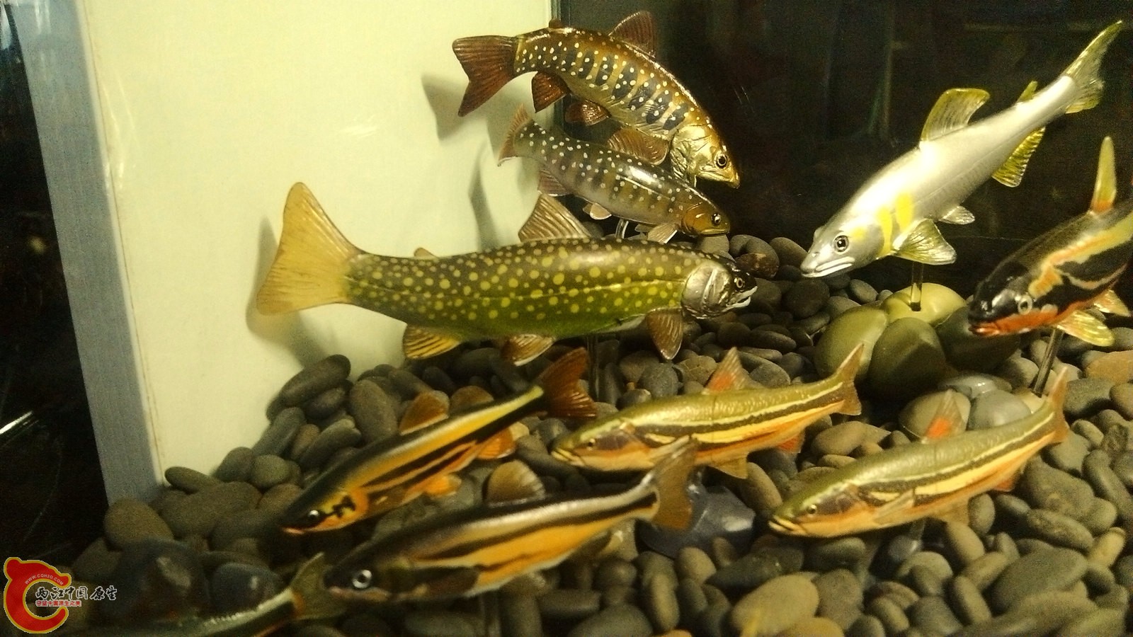IMG_20120826_142136.jpg