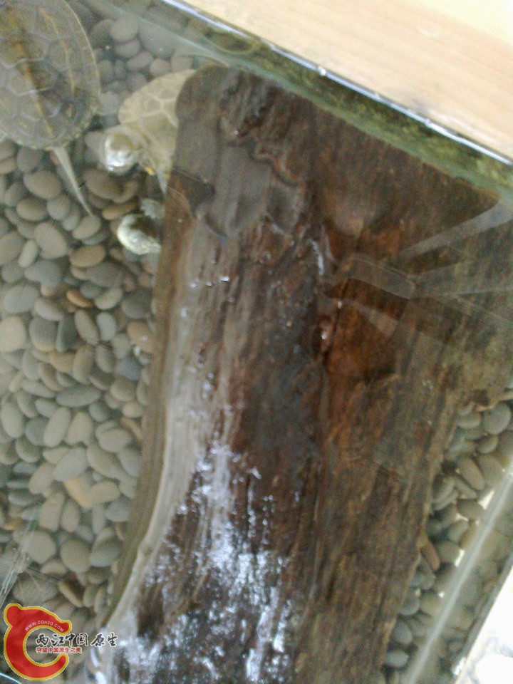 large_hECv_6fde000067a71191.jpg