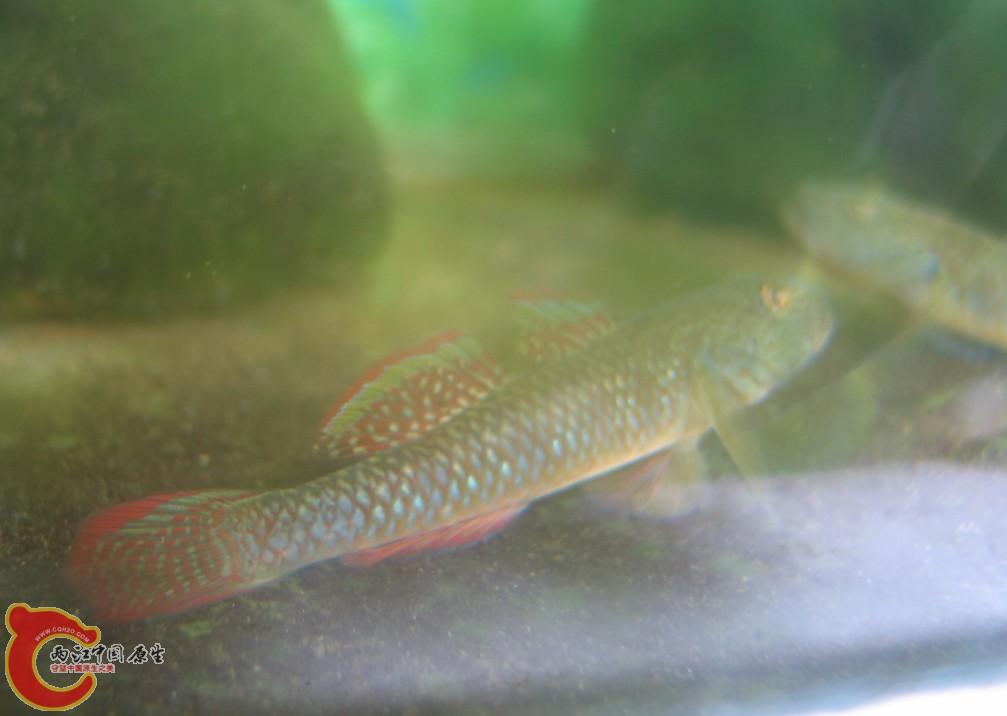 2]3U9JW9$[~GNX}RF8UW.jpg