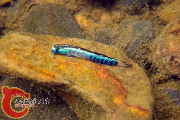 IMGP0192.JPG