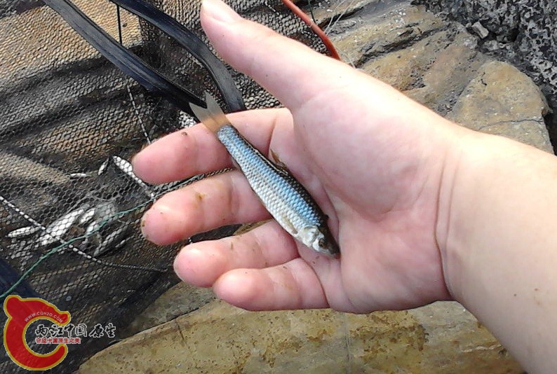 P31-08-12_17-29.jpg