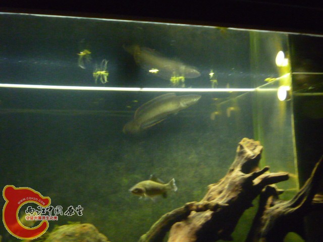 P1070817.JPG