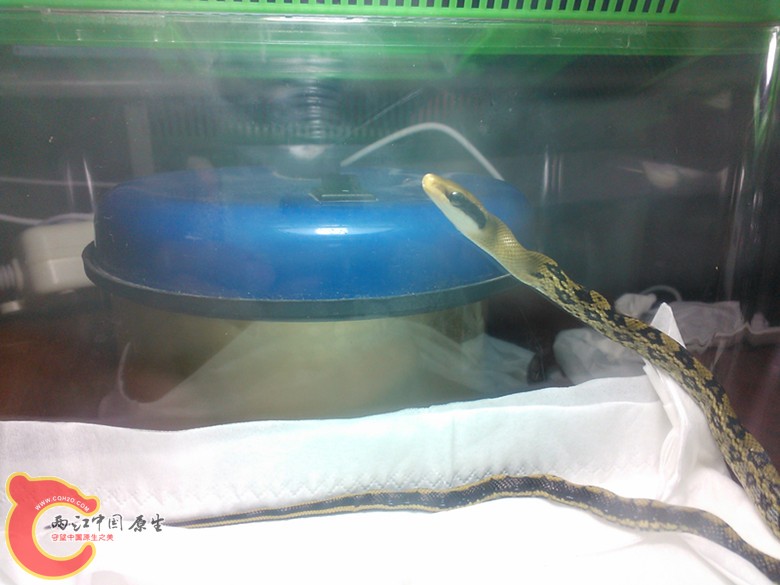 WP_000515_副本.jpg