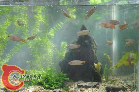 图片1.jpg