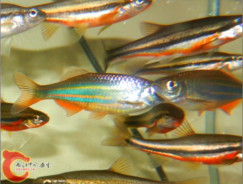 QQ截图20120902171650.jpg