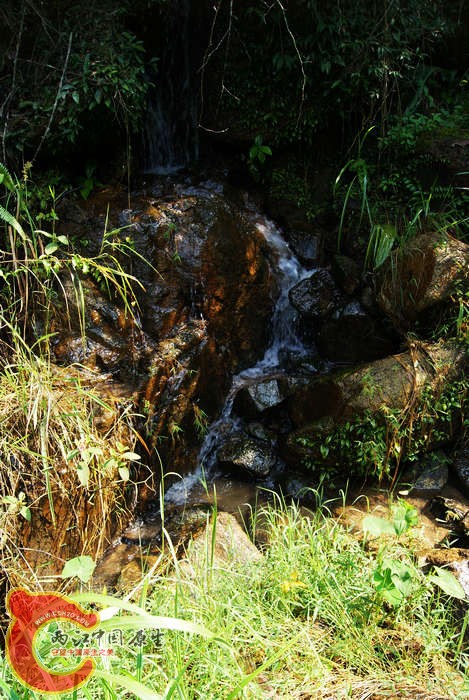 06.jpg