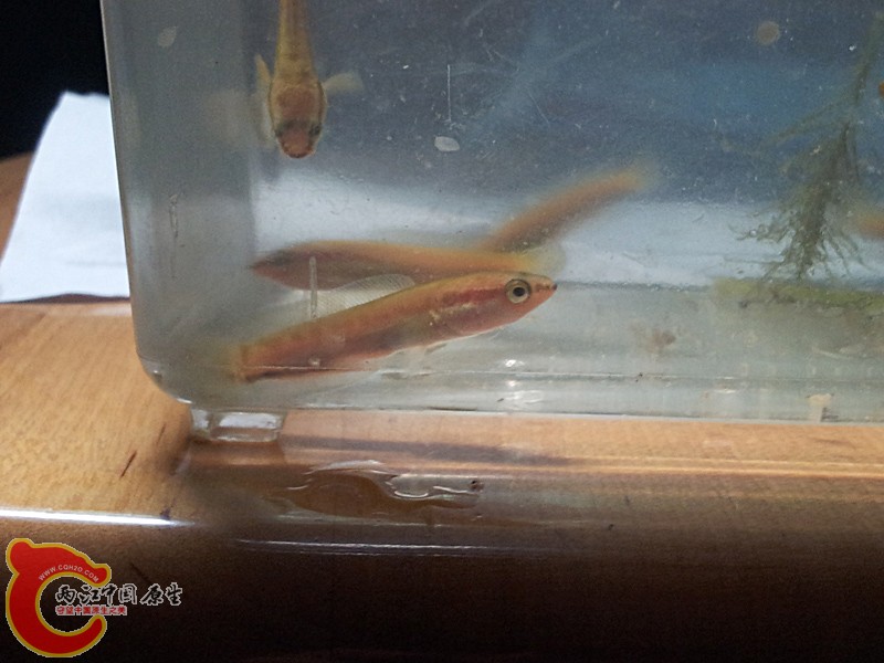 20120901_202645.jpg