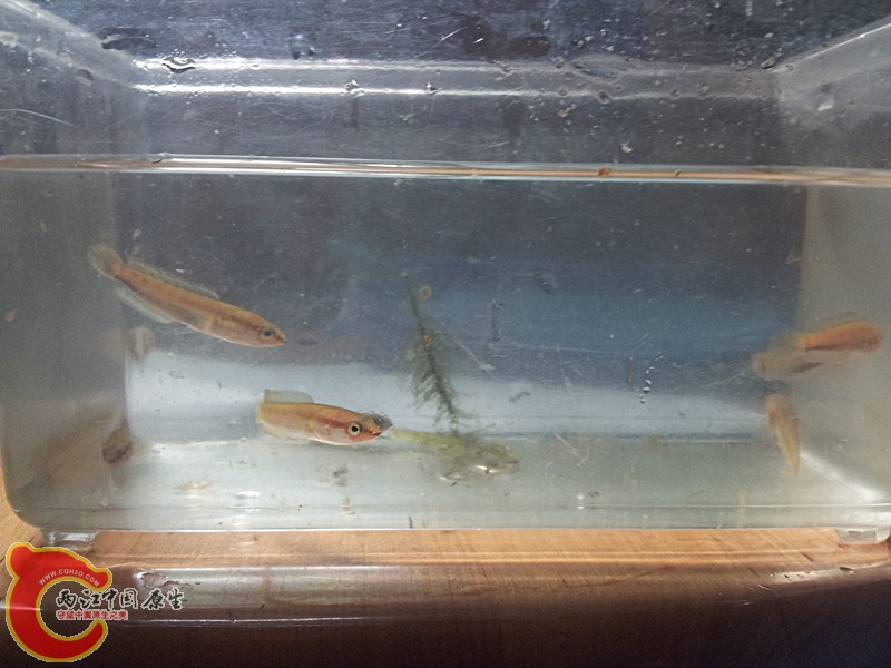 20120901_202600.jpg