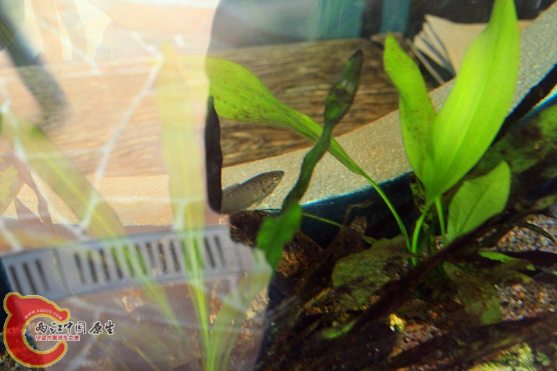 IMG_6474_副本.jpg IMG_6474_副本.jpg