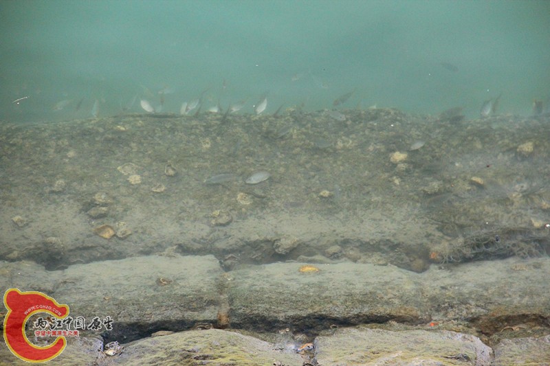 IMG_6956_副本.jpg IMG_6956_副本.jpg