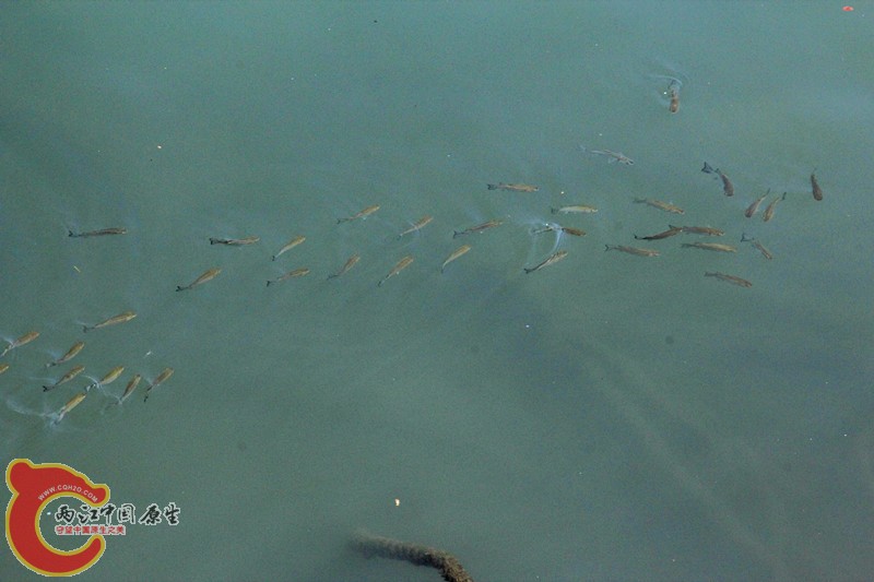 IMG_6962_副本.jpg IMG_6962_副本.jpg