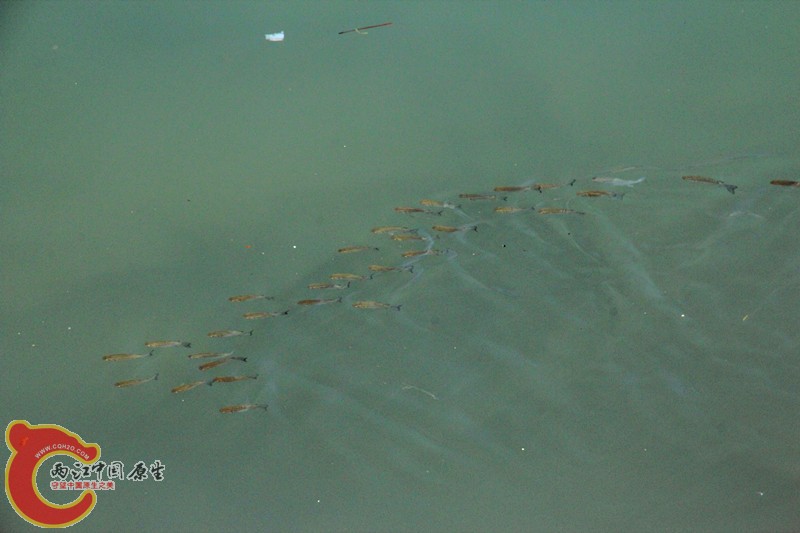 IMG_6964_副本.jpg IMG_6964_副本.jpg